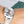 Rolex DateJust 116200 Rhodium Stainless Steel 36MM Mens Watch - Giorgio Conti Jewelers
